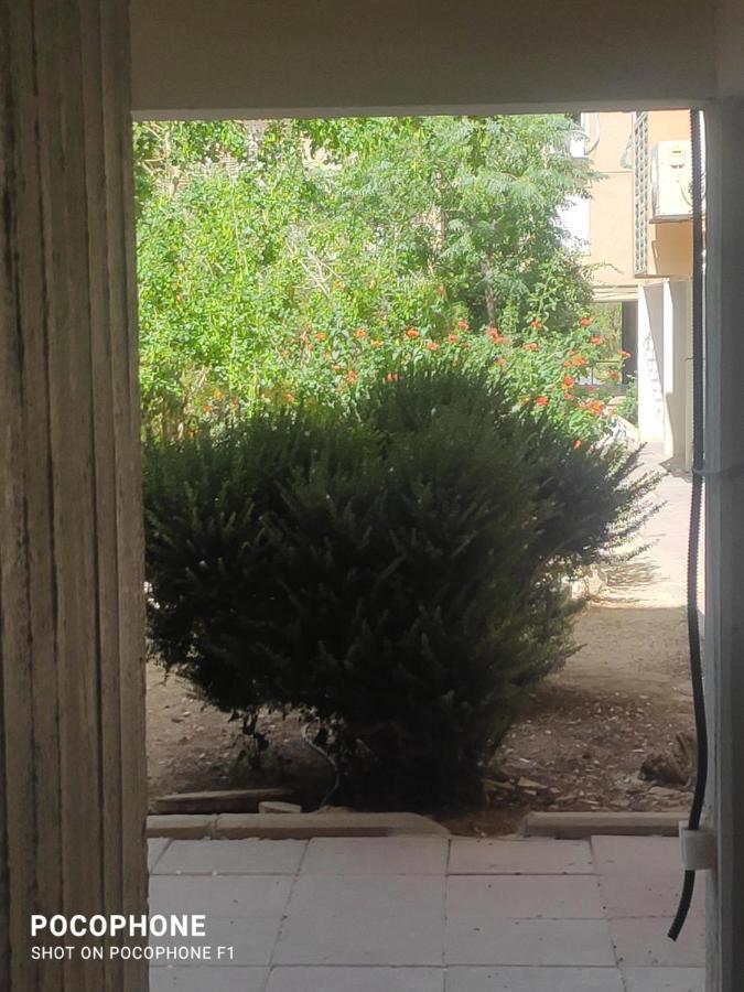 סוויטה של אלון Διαμέρισμα Αράντ Εξωτερικό φωτογραφία